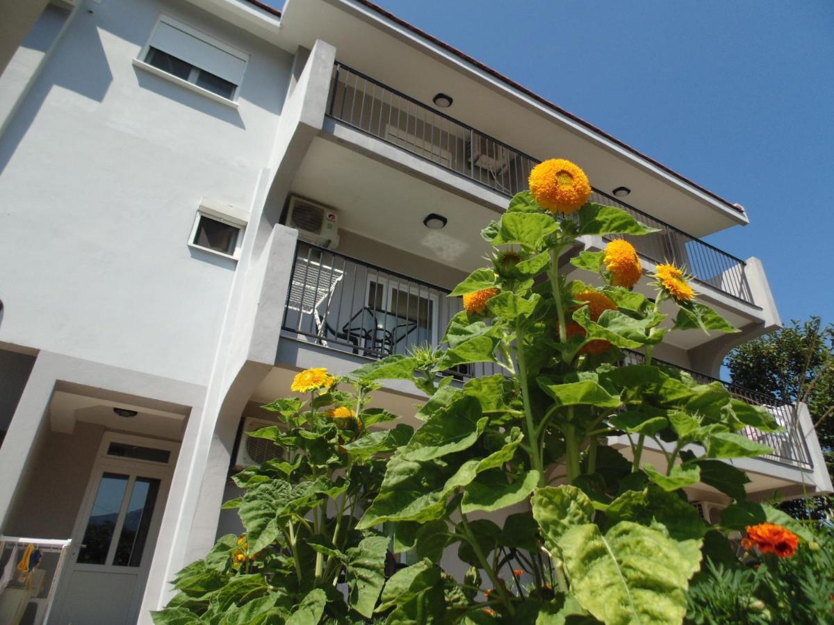 באר Apartments Macaso מראה חיצוני תמונה