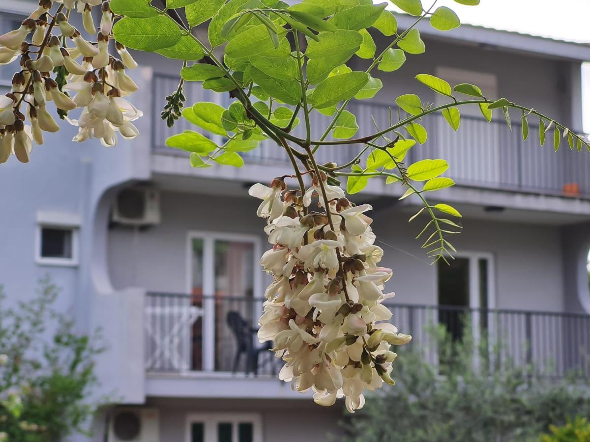 באר Apartments Macaso מראה חיצוני תמונה