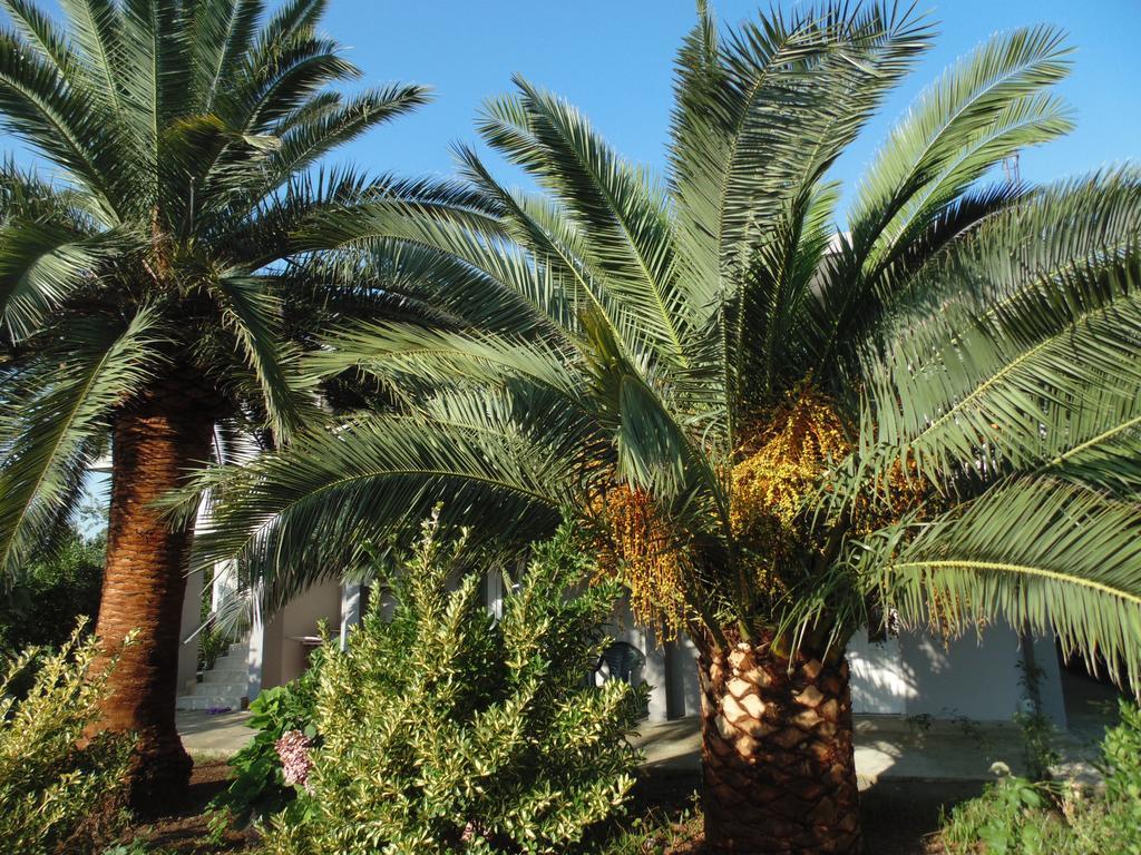באר Apartments Macaso מראה חיצוני תמונה